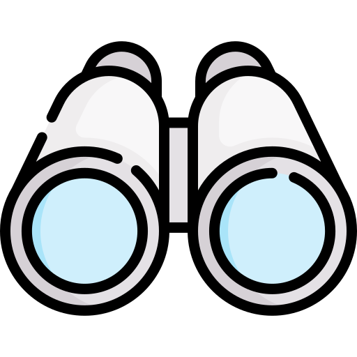 Vision Icon